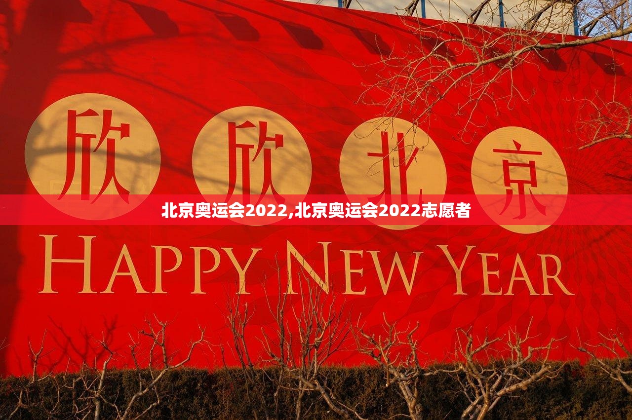 北京奥运会2022,北京奥运会2022志愿者