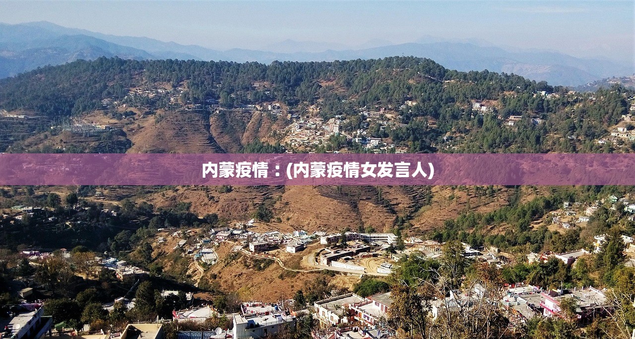 内蒙疫情︰(内蒙疫情女发言人)