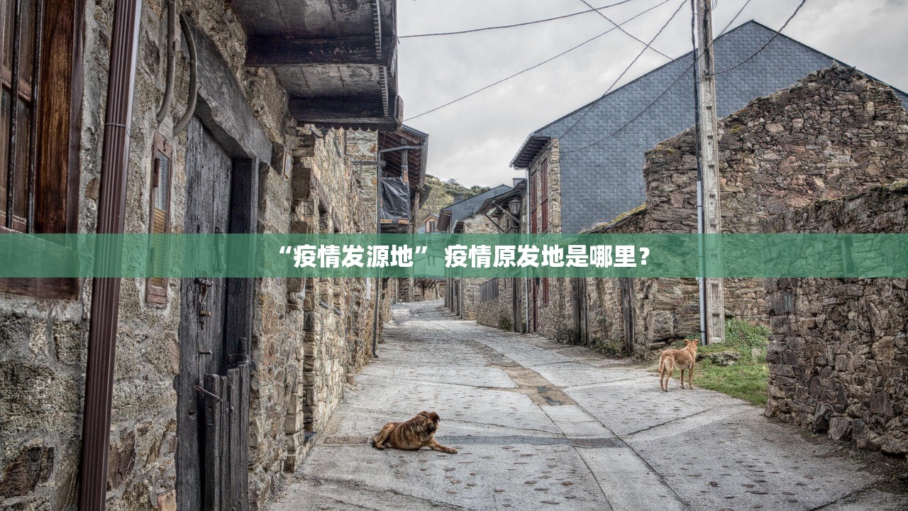 “疫情发源地” 疫情原发地是哪里？