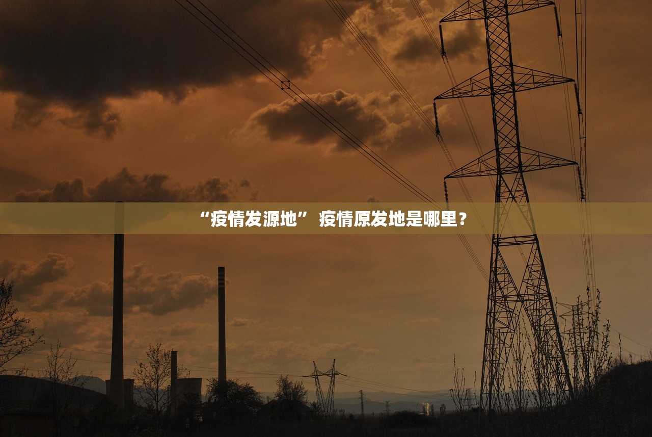 “疫情发源地” 疫情原发地是哪里？