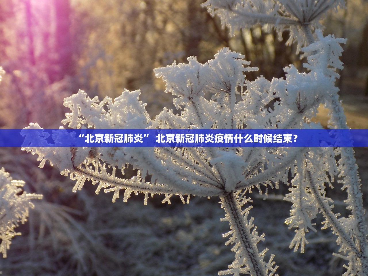“北京新冠肺炎	” 北京新冠肺炎疫情什么时候结束？