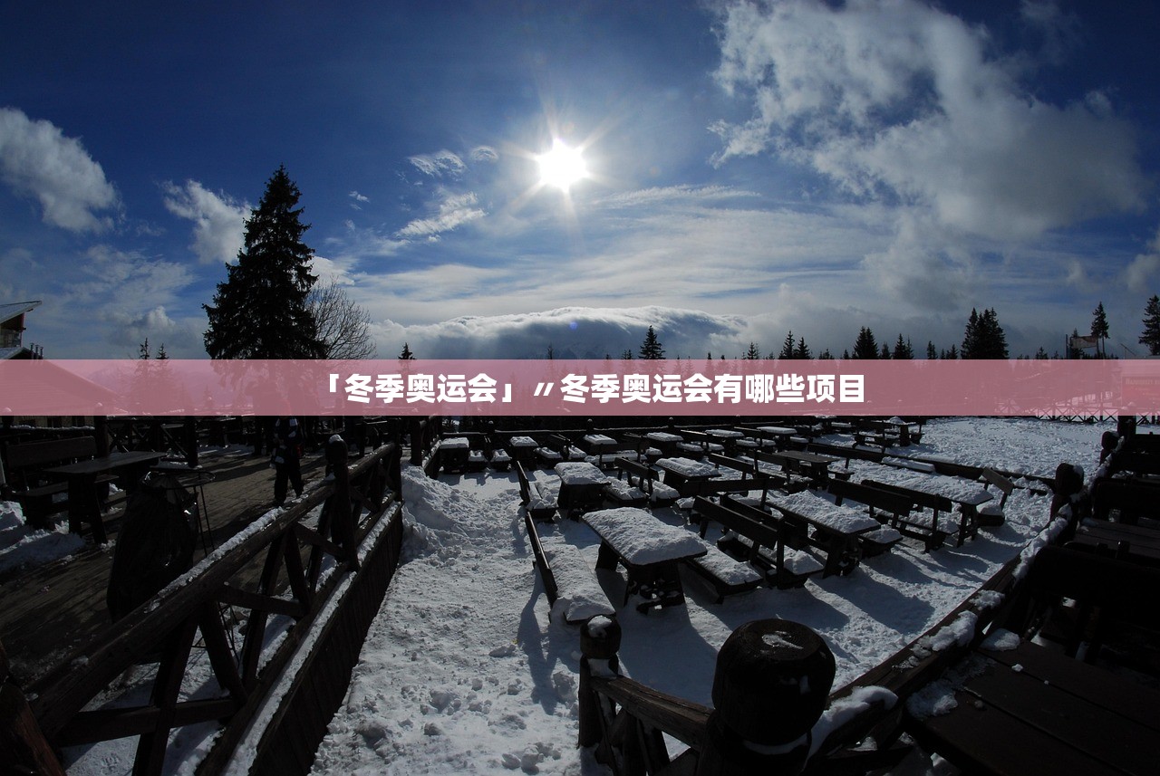「冬季奥运会」〃冬季奥运会有哪些项目