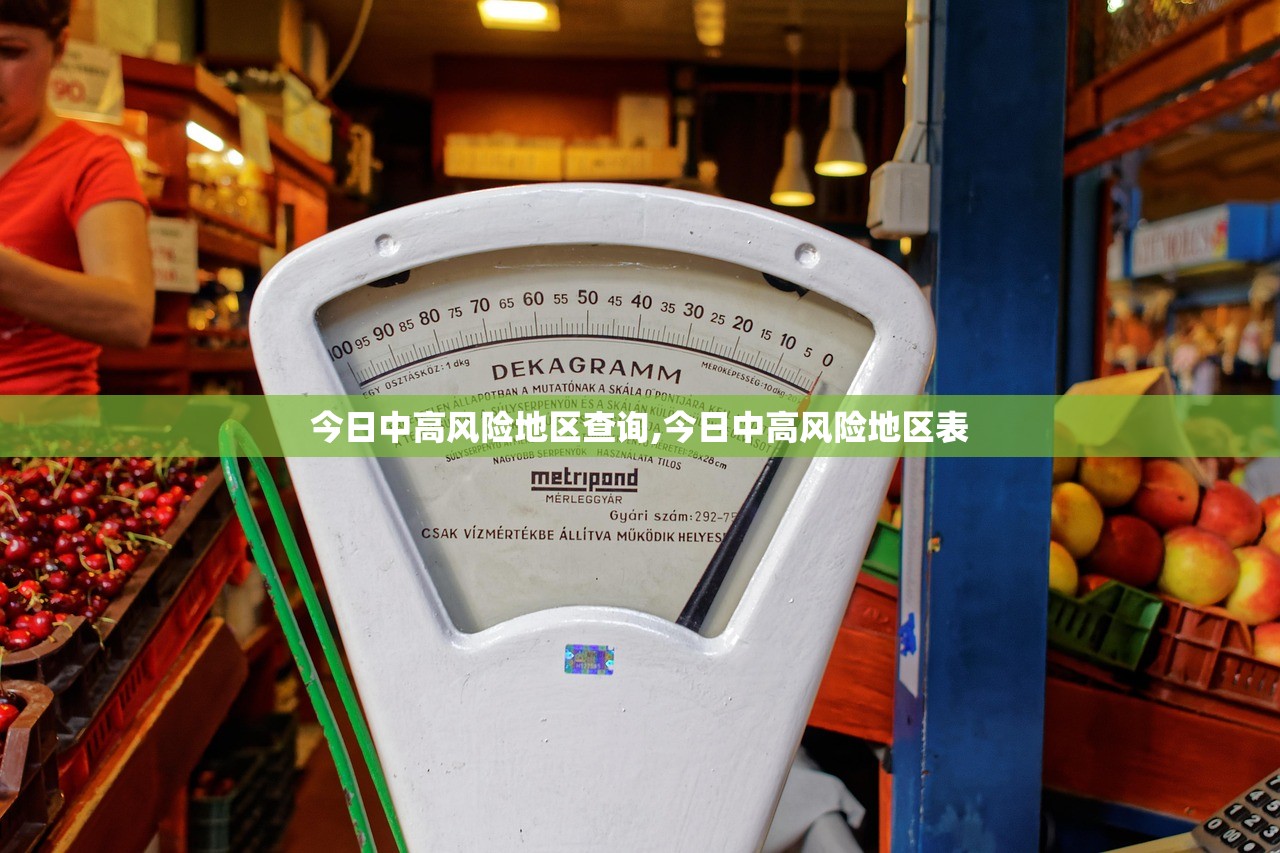 今日中高风险地区查询,今日中高风险地区表