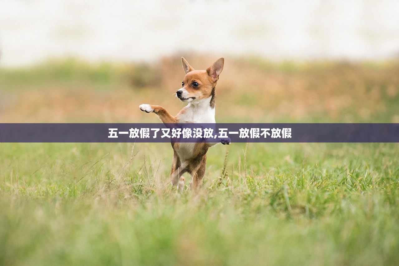 五一放假了又好像没放,五一放假不放假