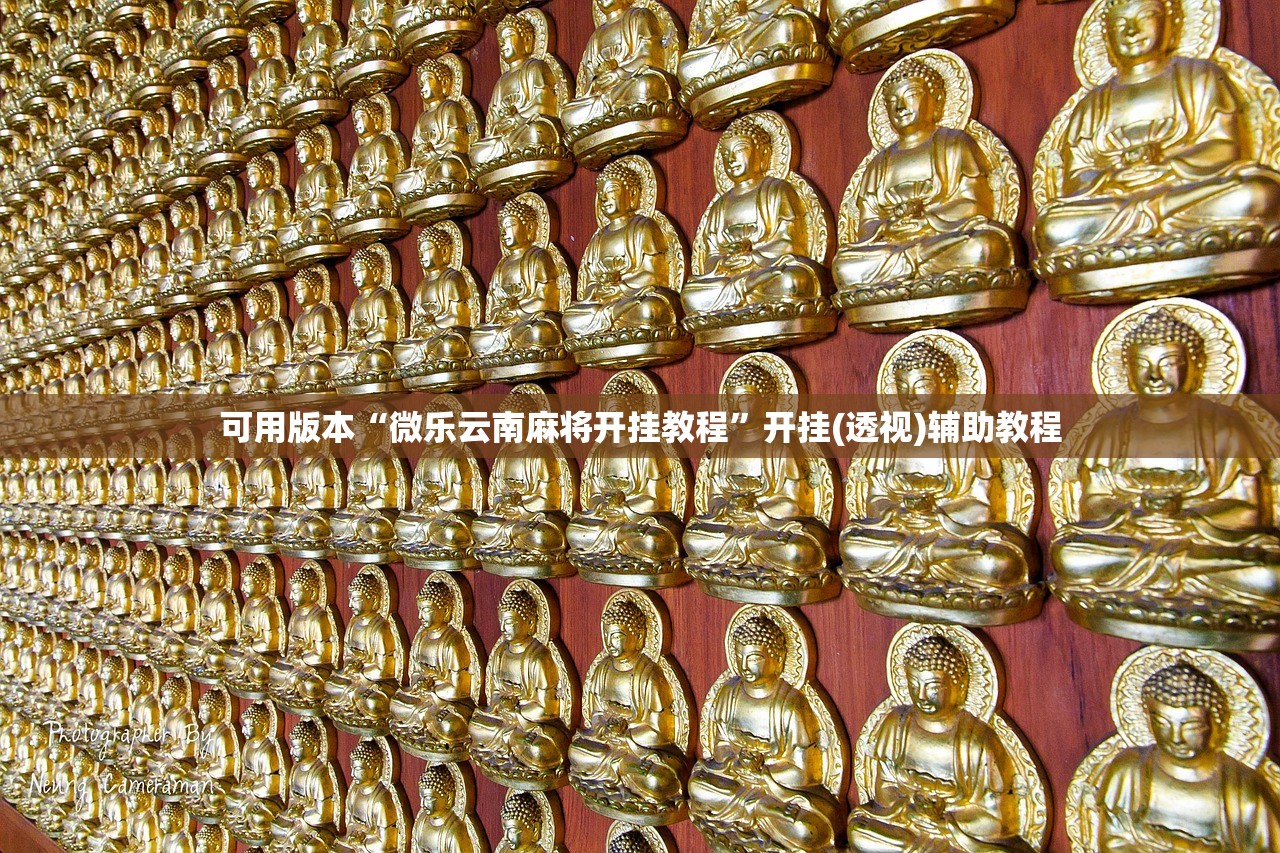 可用版本“微乐云南麻将开挂教程”开挂(透视)辅助教程