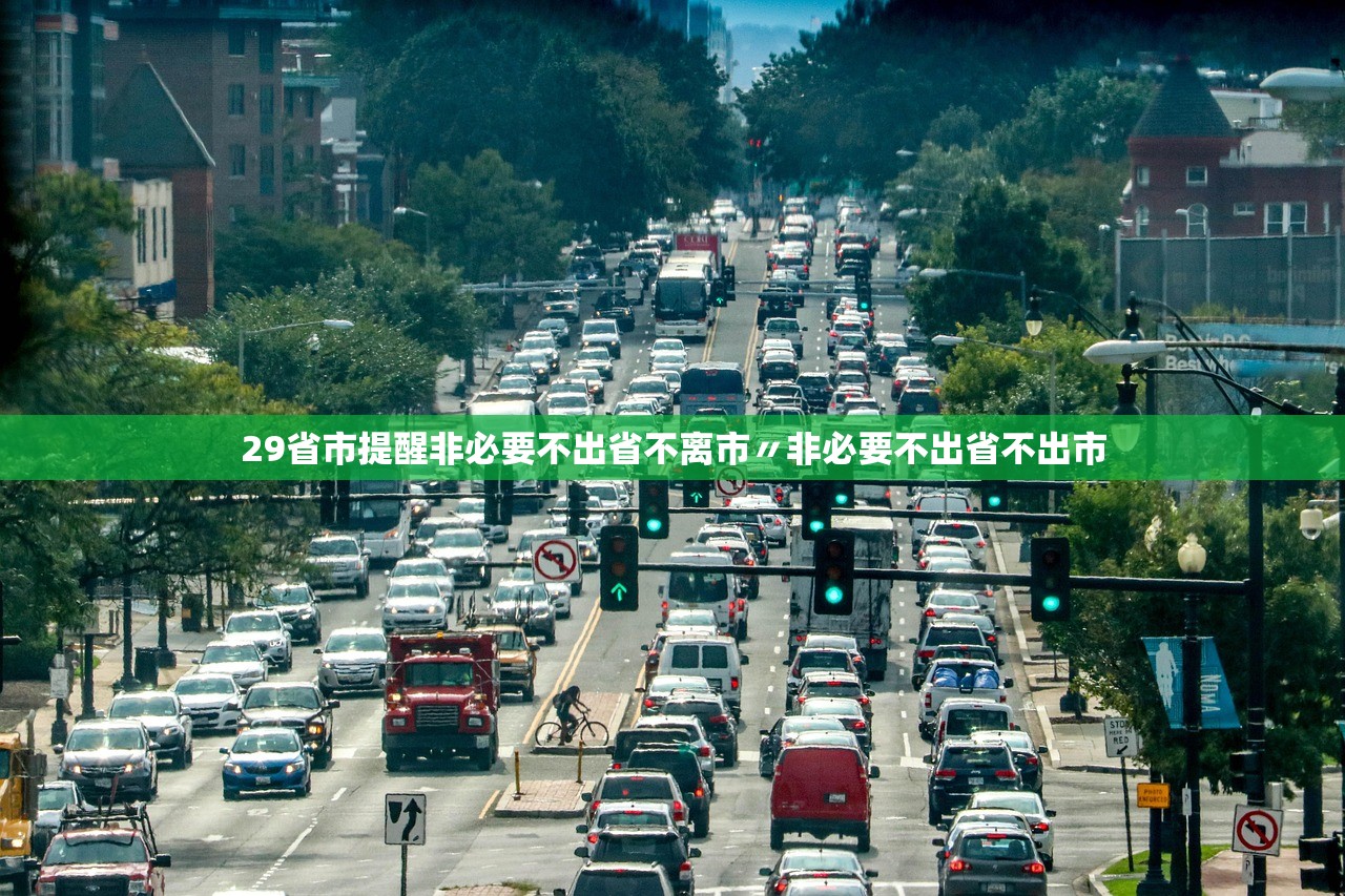 29省市提醒非必要不出省不离市〃非必要不出省不出市