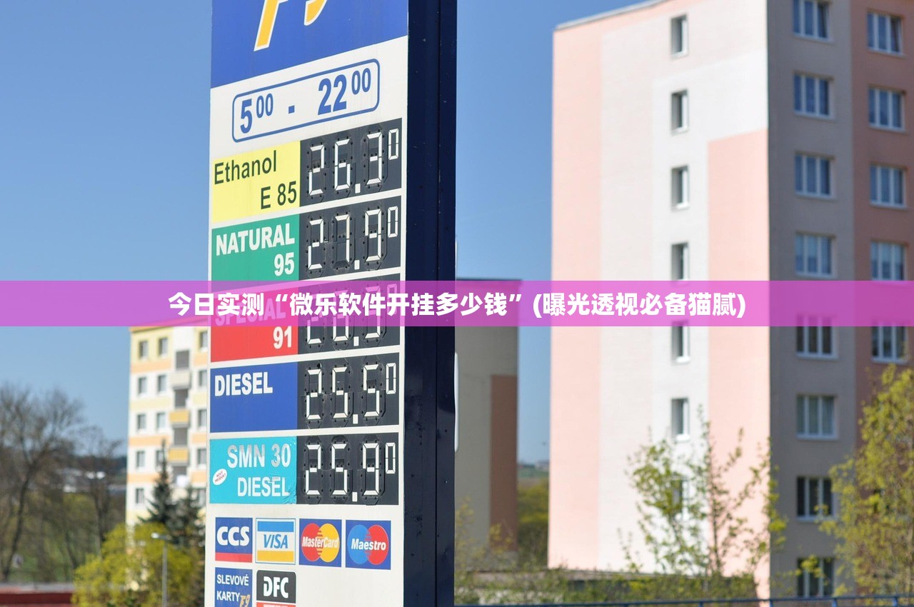 今日实测“微乐软件开挂多少钱”(曝光透视必备猫腻)