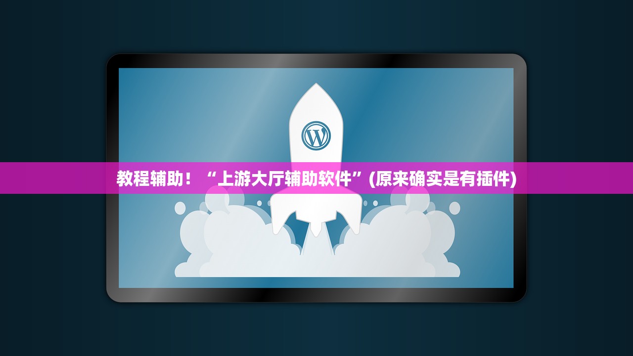 教程辅助！“上游大厅辅助软件”(原来确实是有插件)