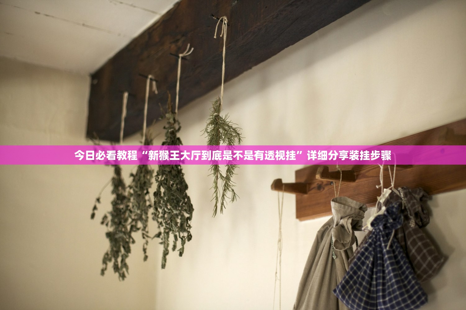 今日必看教程“新猴王大厅到底是不是有透视挂”详细分享装挂步骤