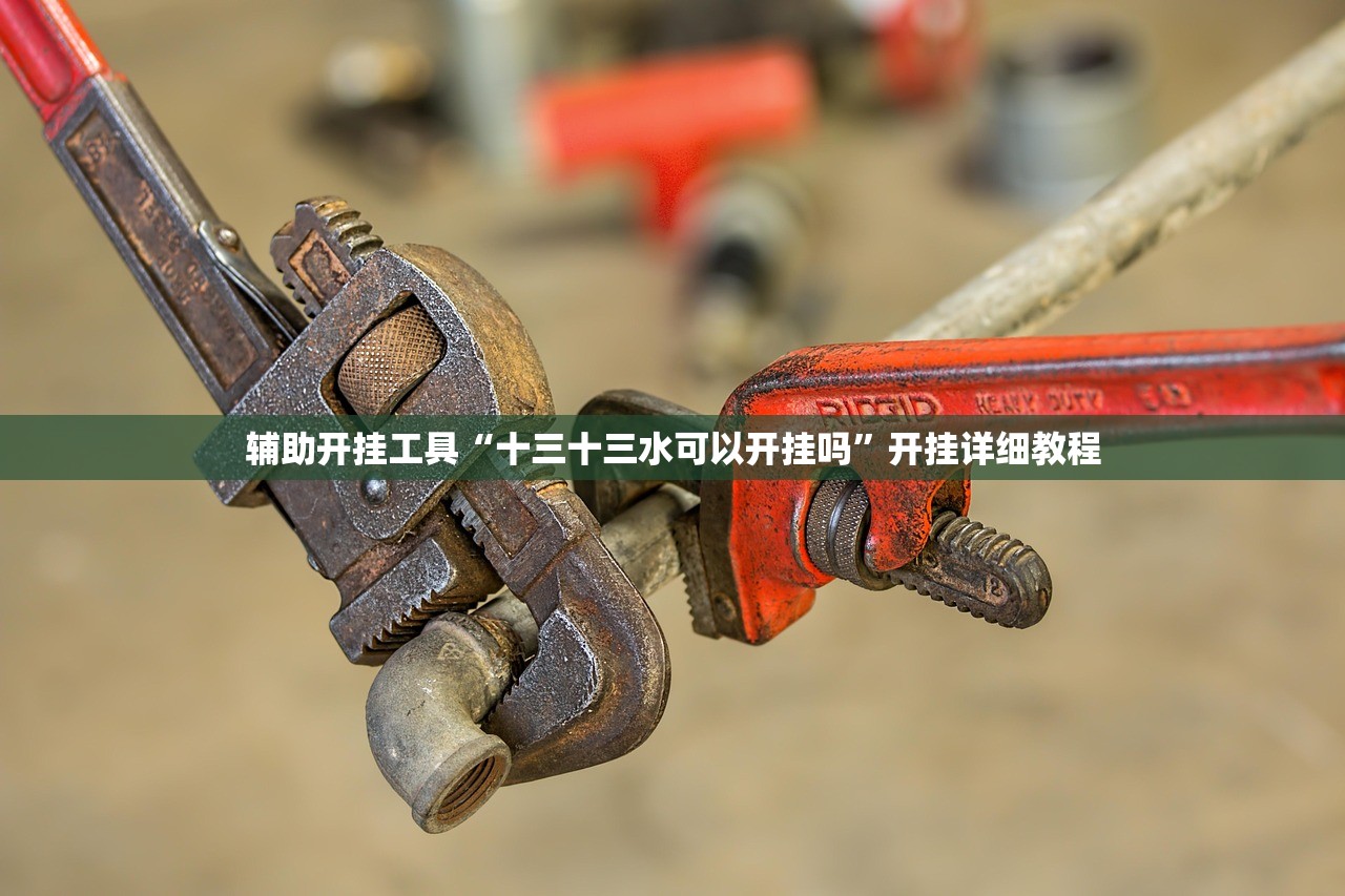 辅助开挂工具“十三十三水可以开挂吗	”开挂详细教程