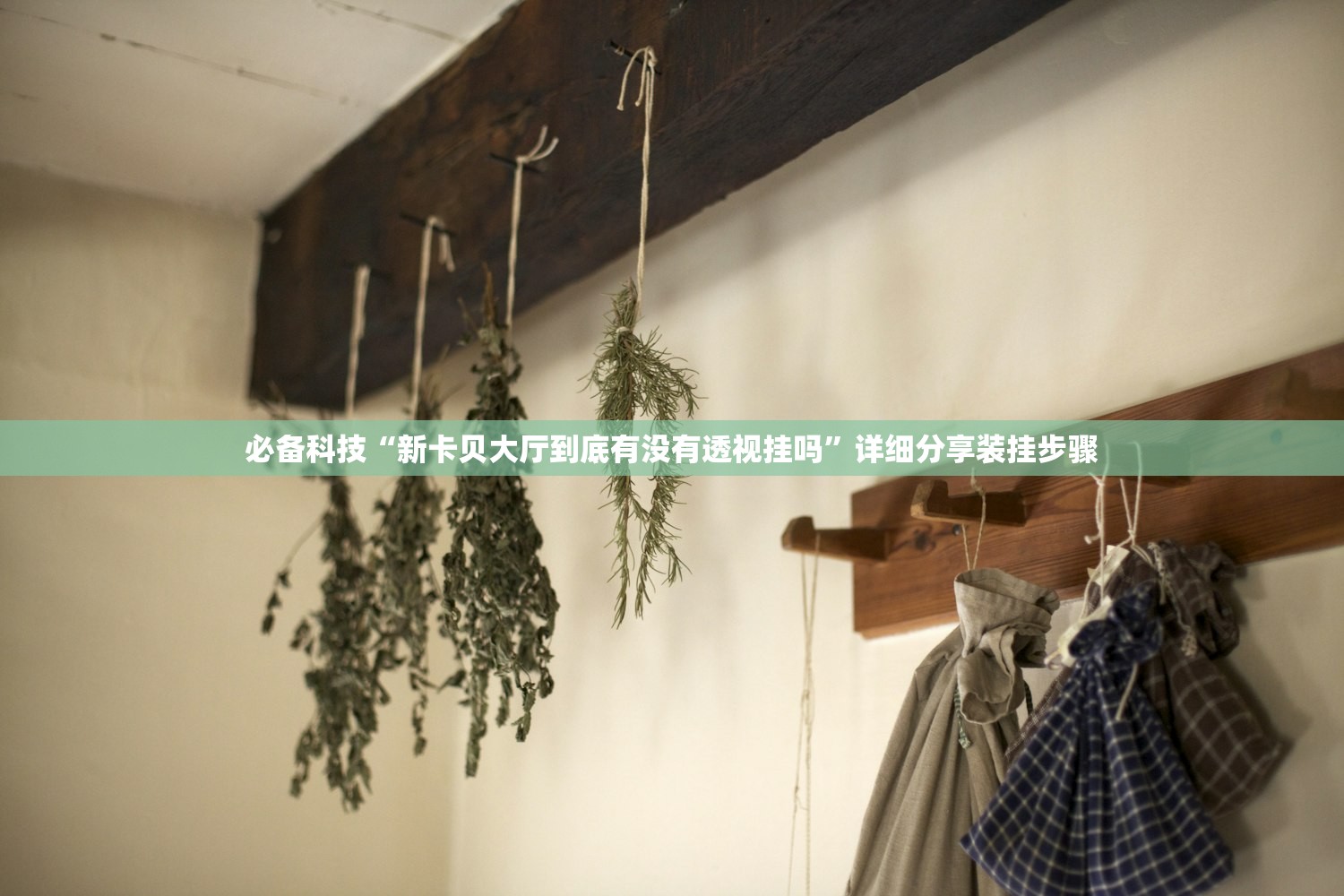 必备科技“新卡贝大厅到底有没有透视挂吗”详细分享装挂步骤