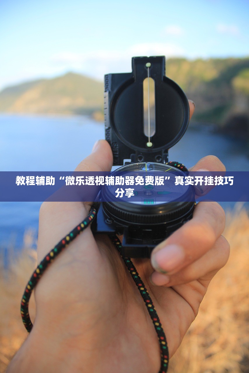 教程辅助“微乐透视辅助器免费版”真实开挂技巧分享