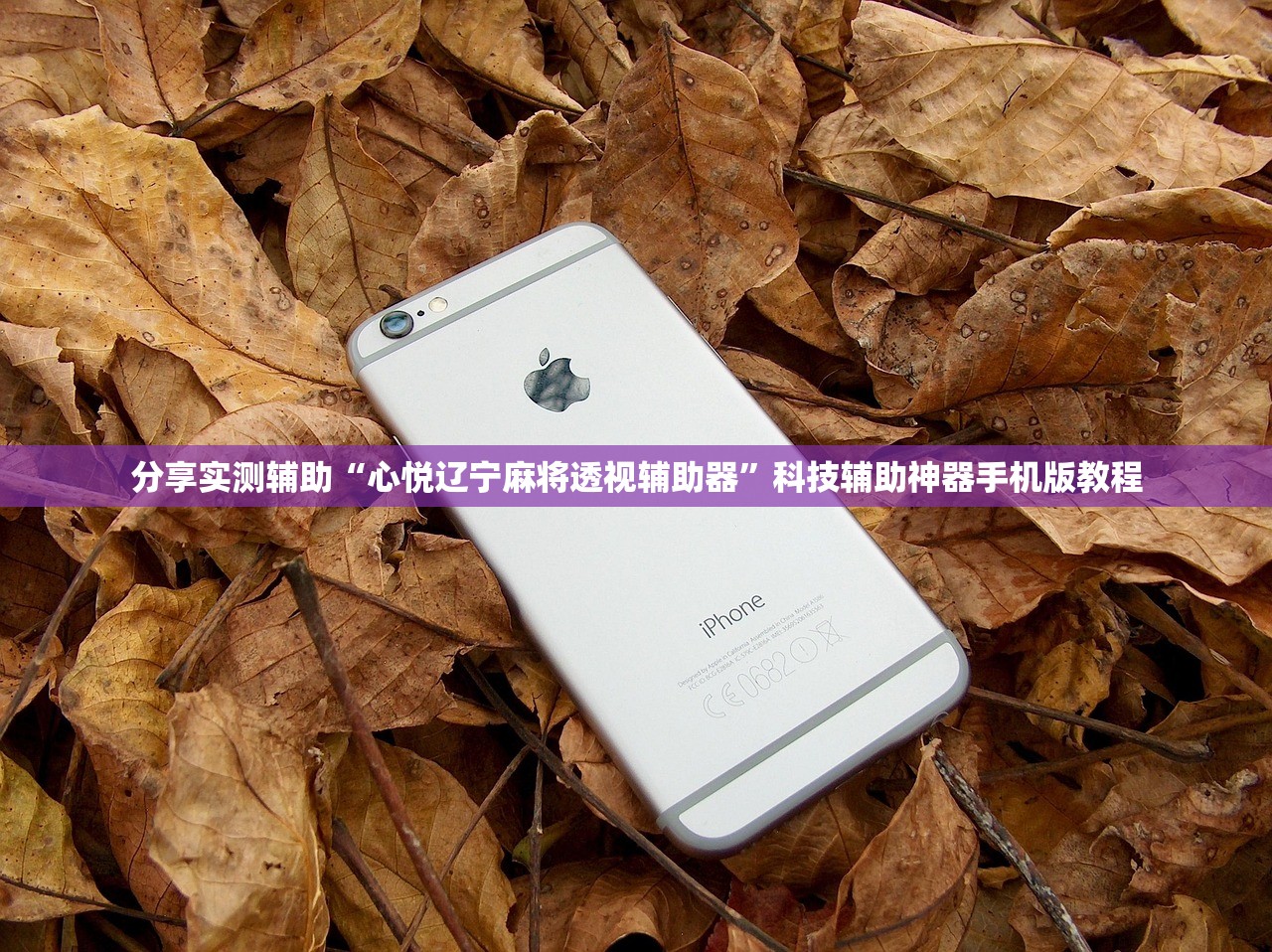 分享实测辅助“心悦辽宁麻将透视辅助器	”科技辅助神器手机版教程