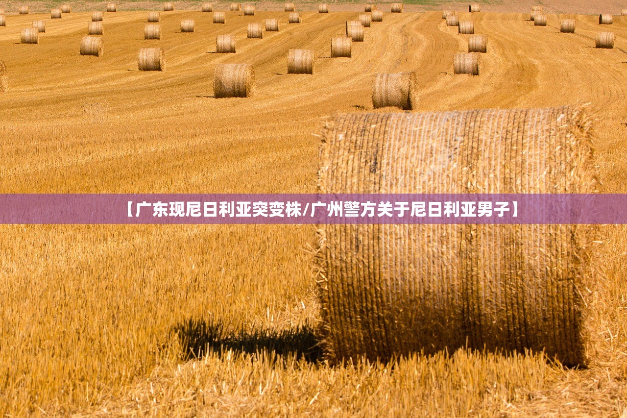 【广东现尼日利亚突变株/广州警方关于尼日利亚男子】
