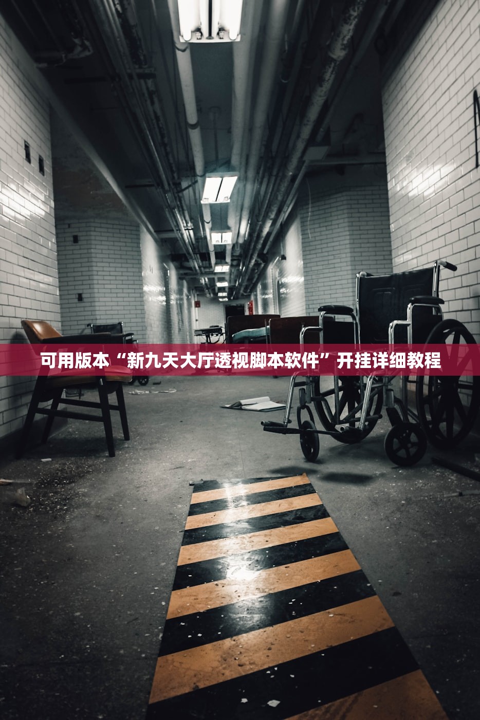 可用版本“新九天大厅透视脚本软件”开挂详细教程