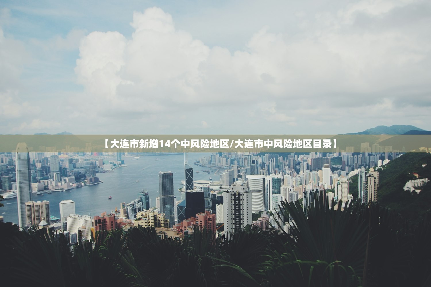 【大连市新增14个中风险地区/大连市中风险地区目录】
