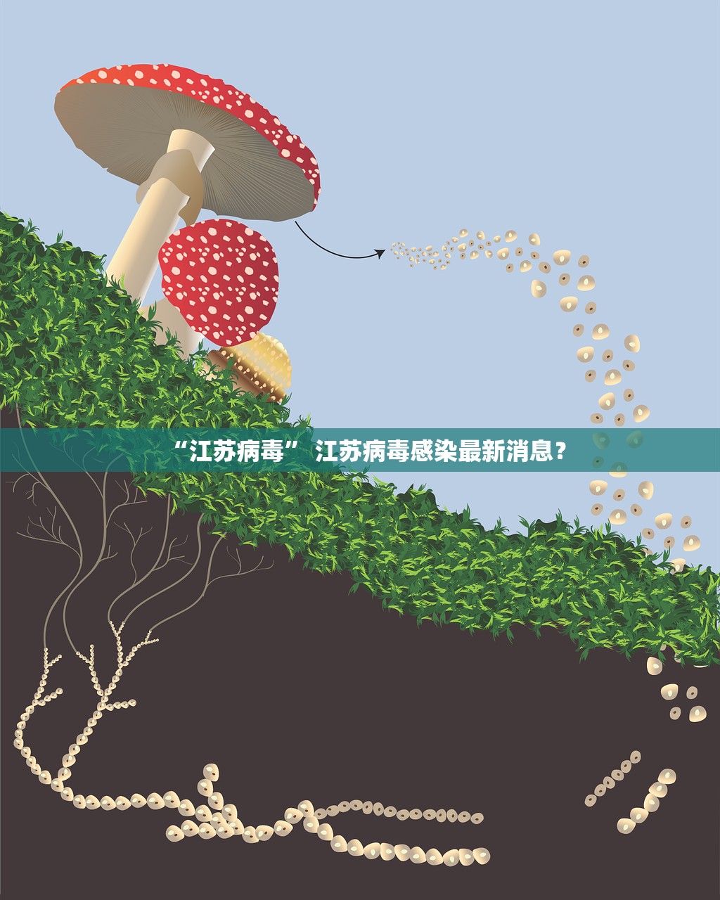 “江苏病毒” 江苏病毒感染最新消息？