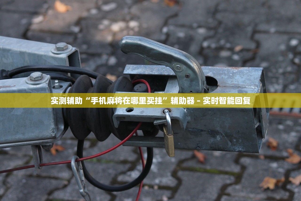 实测辅助“手机麻将在哪里买挂”辅助器 – 实时智能回复