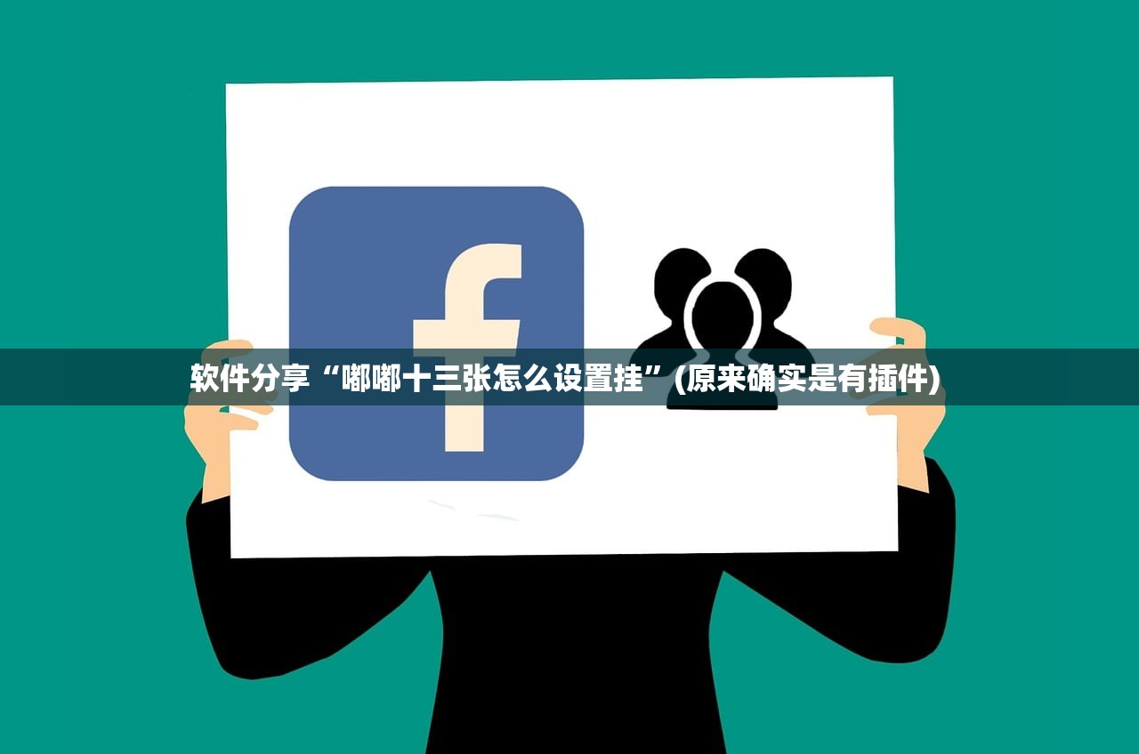 软件分享“嘟嘟十三张怎么设置挂”(原来确实是有插件) 