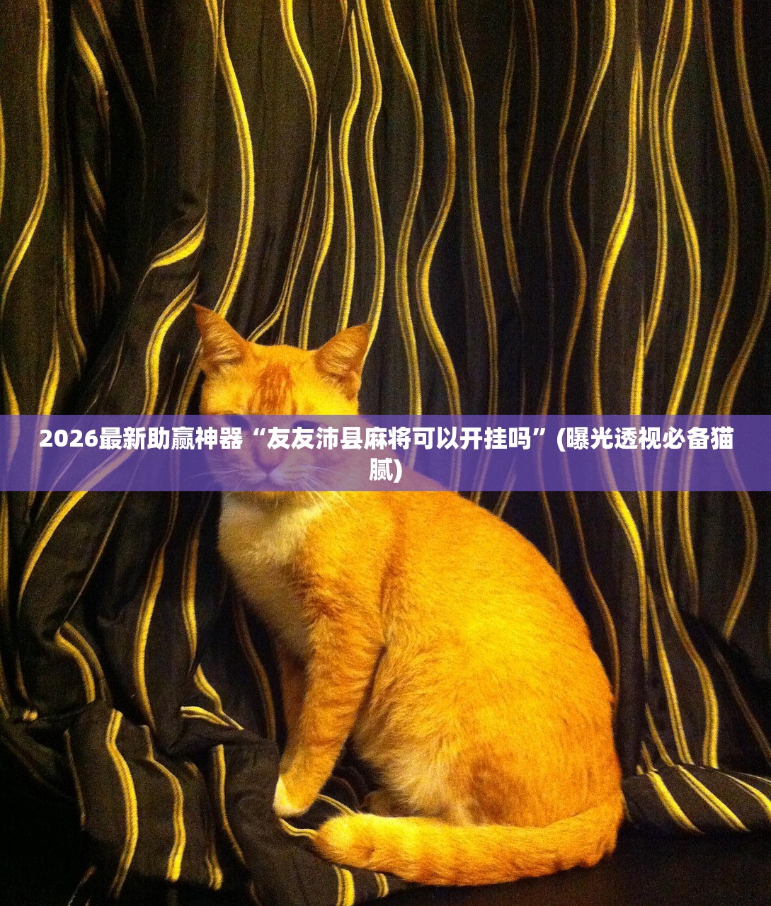 2026最新助赢神器“友友沛县麻将可以开挂吗”(曝光透视必备猫腻)