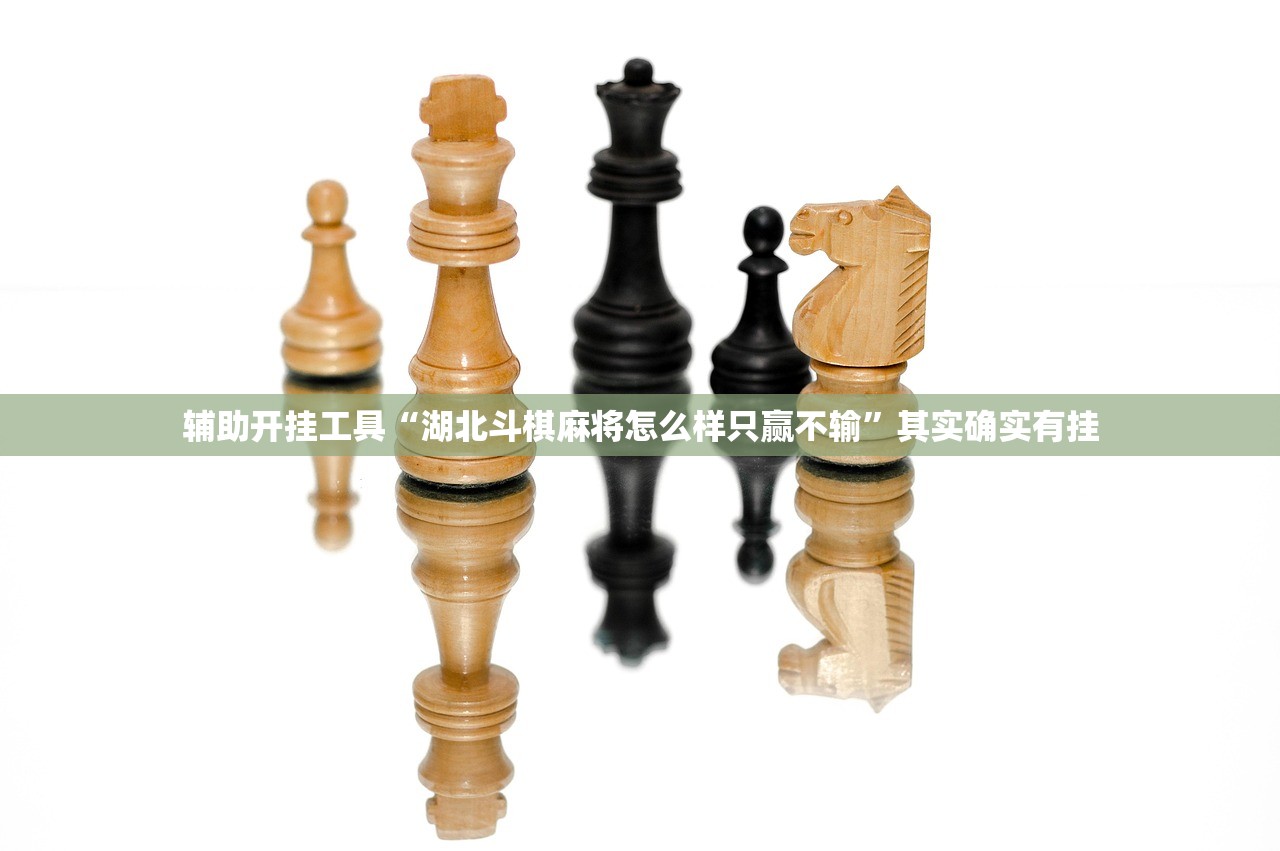 辅助开挂工具“湖北斗棋麻将怎么样只赢不输”其实确实有挂