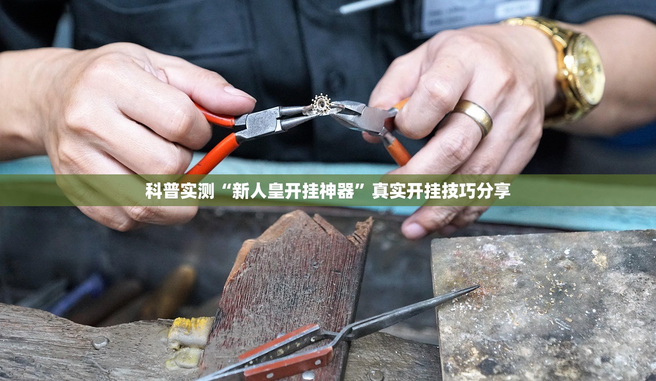科普实测“新人皇开挂神器	”真实开挂技巧分享