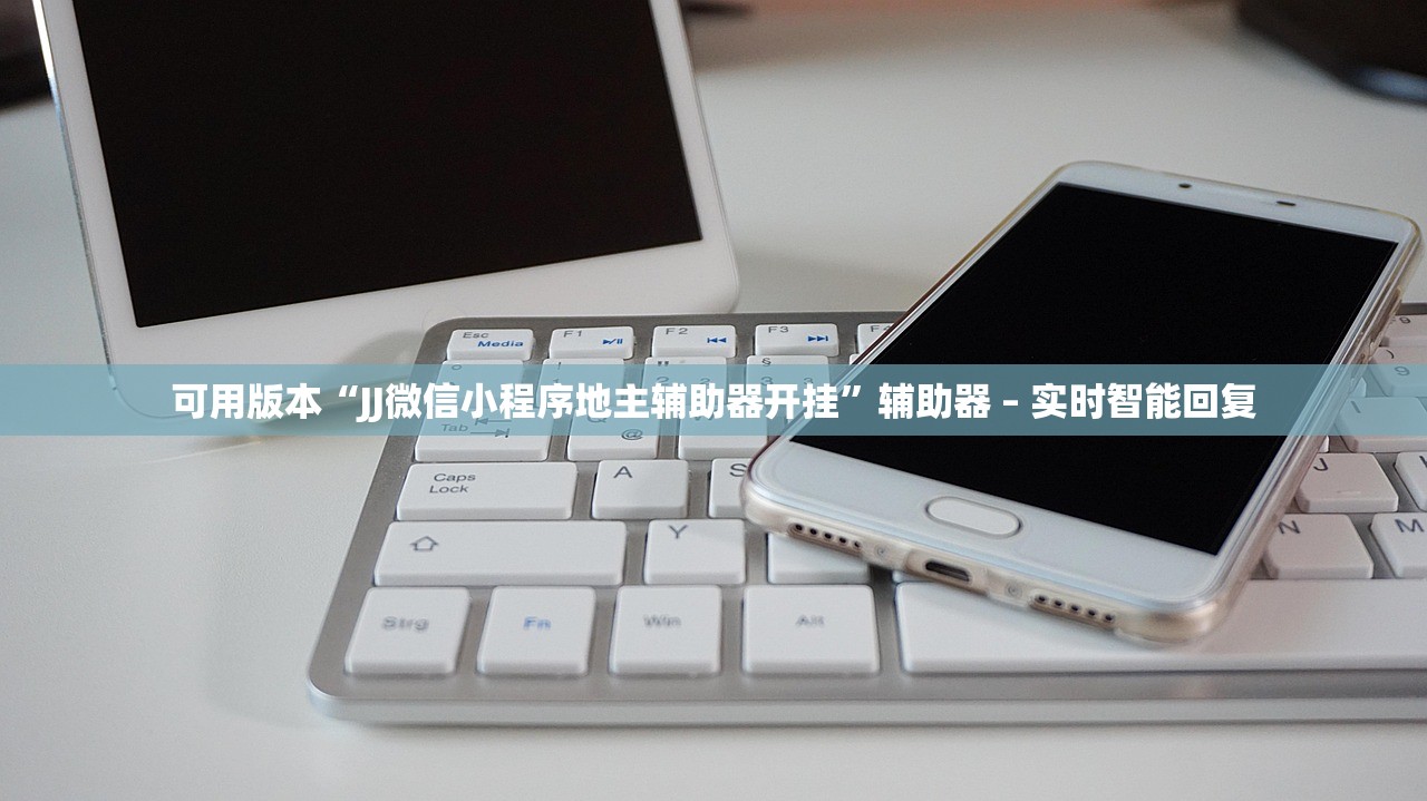 可用版本“JJ微信小程序地主辅助器开挂”辅助器 – 实时智能回复