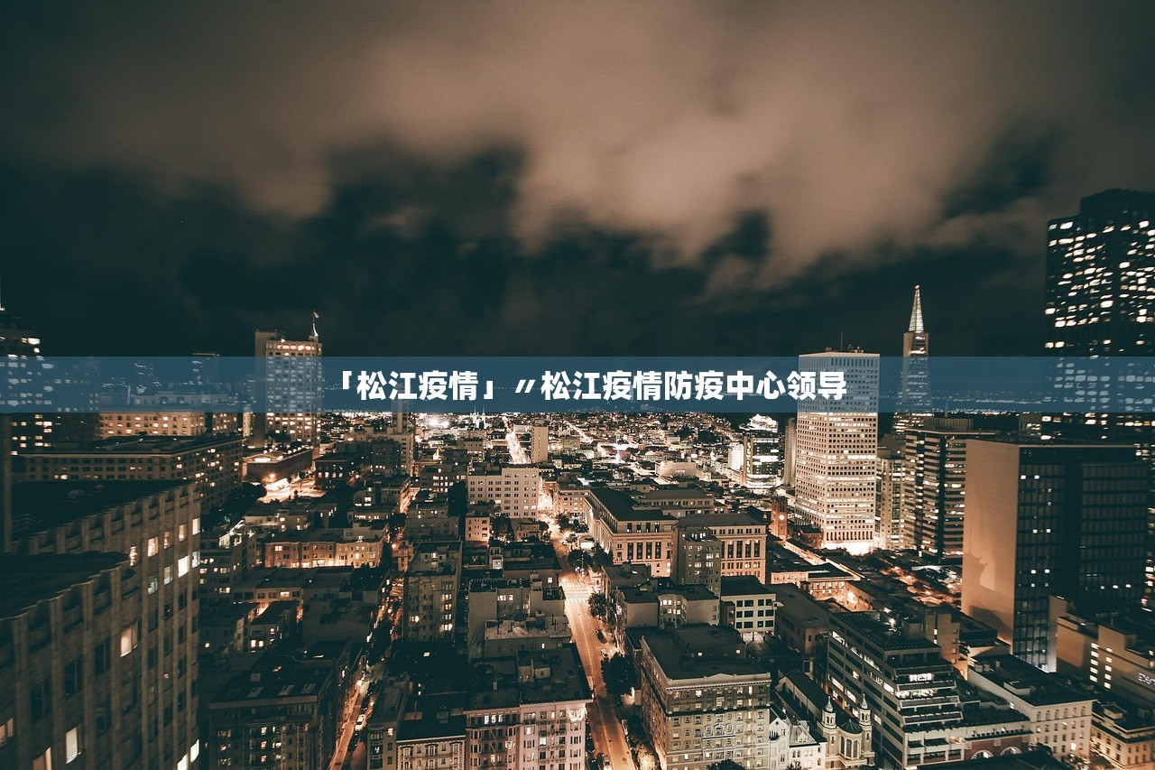 「松江疫情」〃松江疫情防疫中心领导