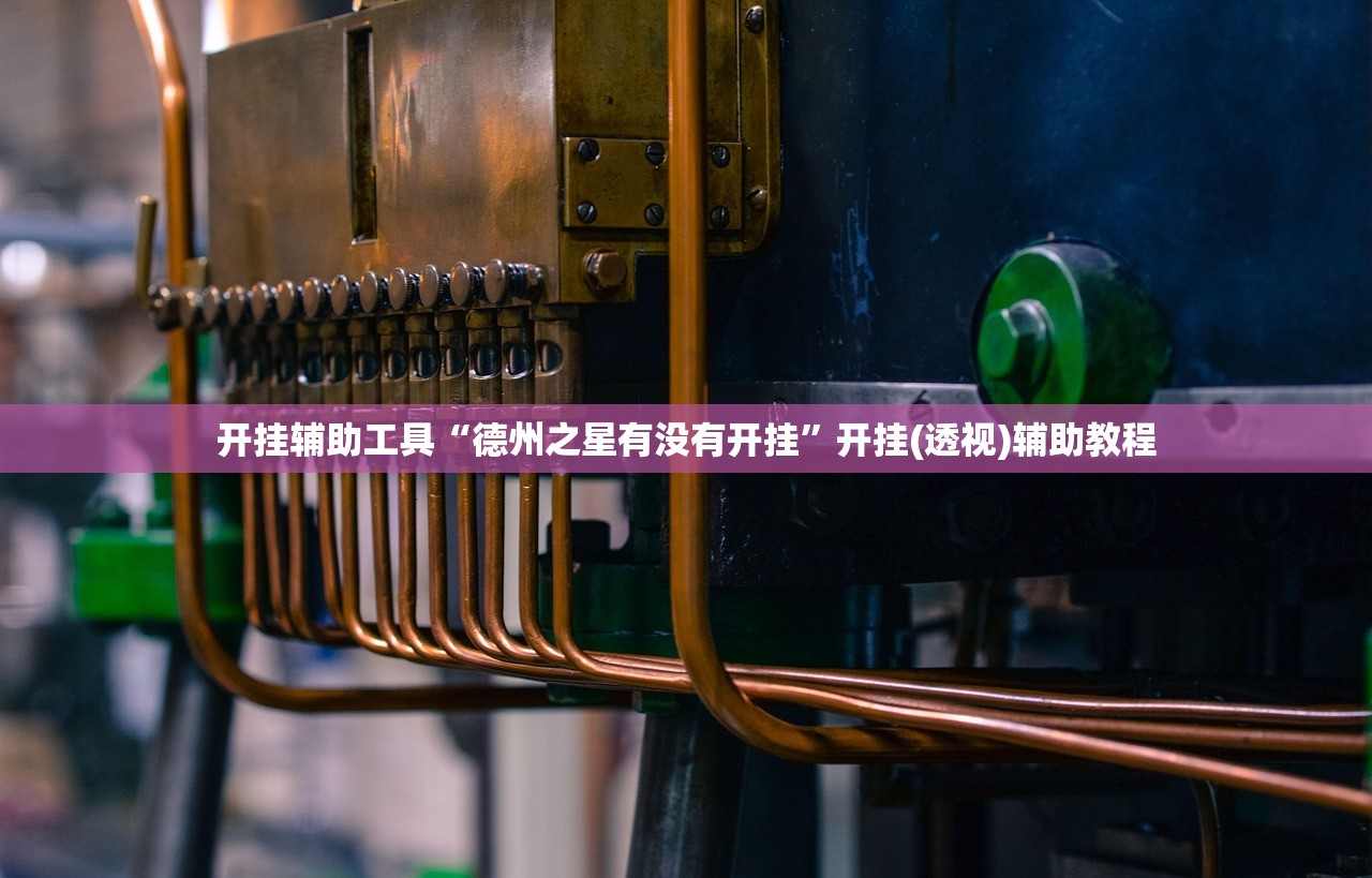 开挂辅助工具“德州之星有没有开挂”开挂(透视)辅助教程