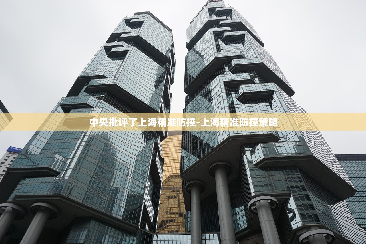 中央批评了上海精准防控-上海精准防控策略