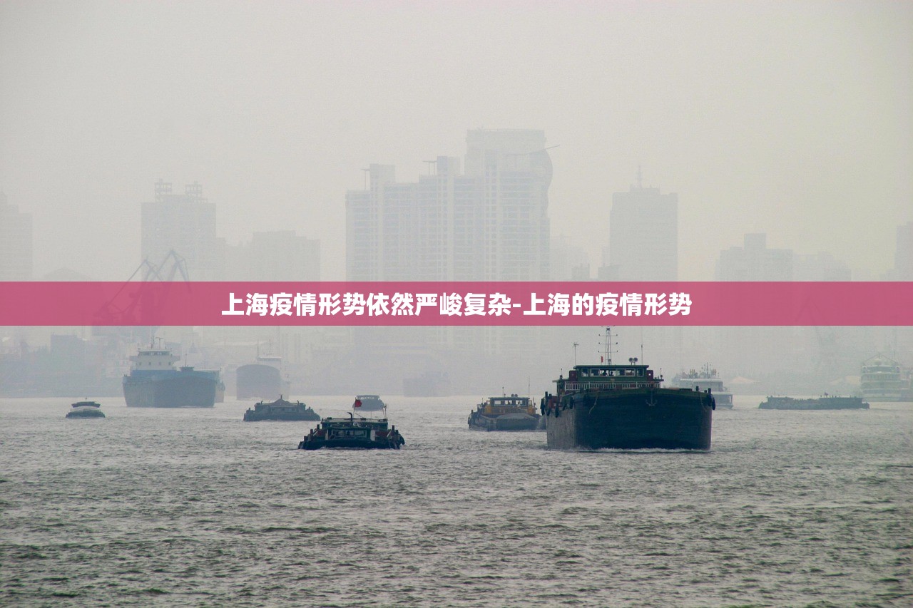 上海疫情形势依然严峻复杂-上海的疫情形势