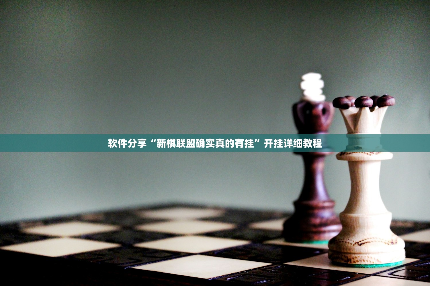 软件分享“新棋联盟确实真的有挂”开挂详细教程