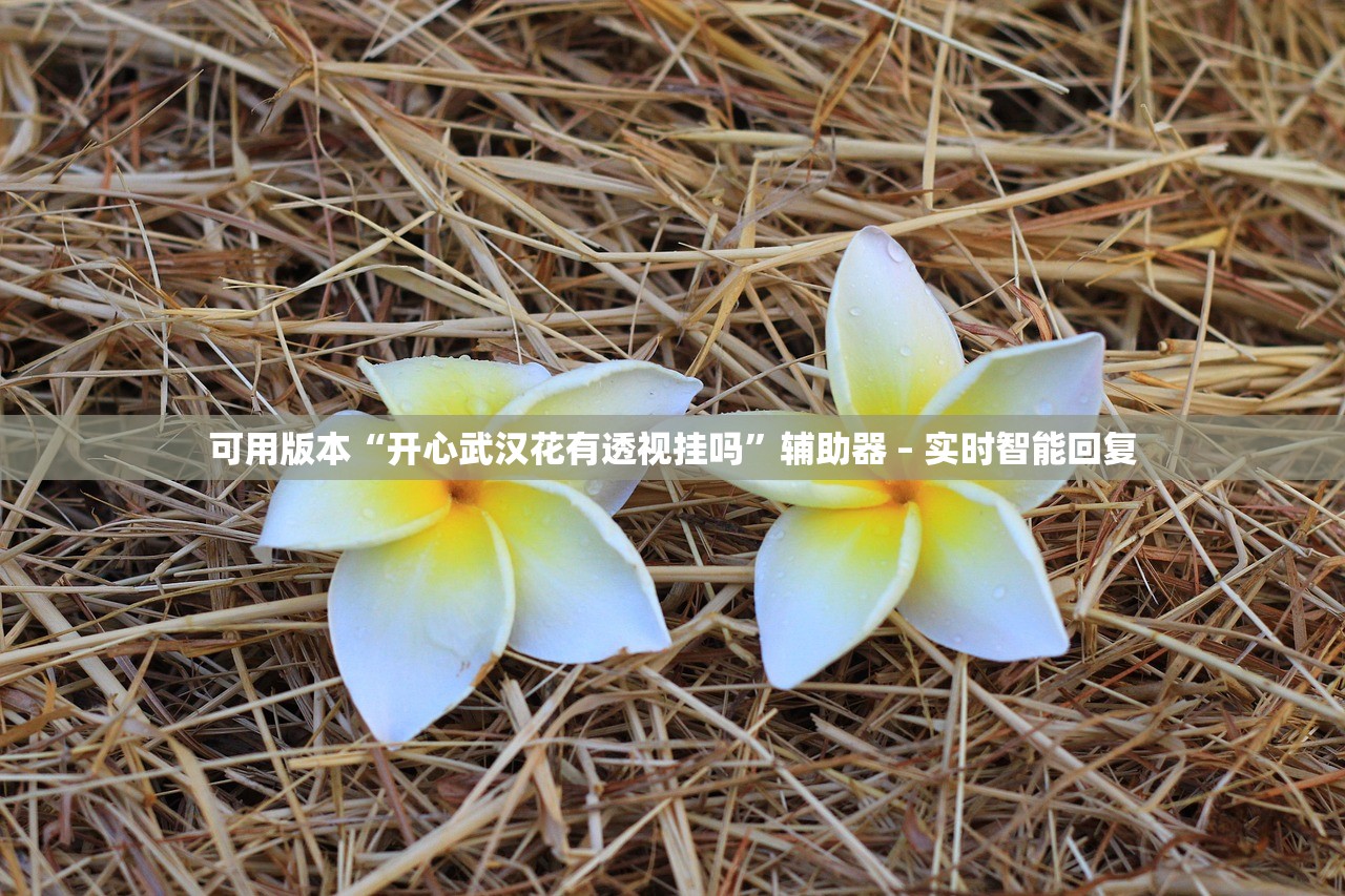今日必看教程“新海狮斗牛透视辅助工具”通用版下载教程！