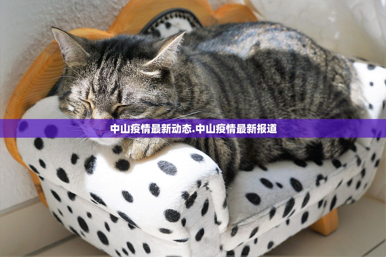 玩家必备攻略“约战跑得快可以开挂吗”开挂详细教程