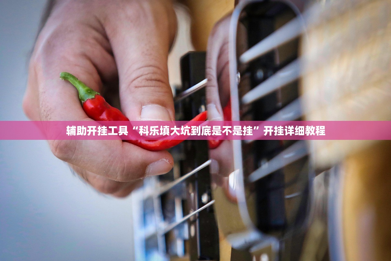 辅助开挂工具“科乐填大坑到底是不是挂”开挂详细教程