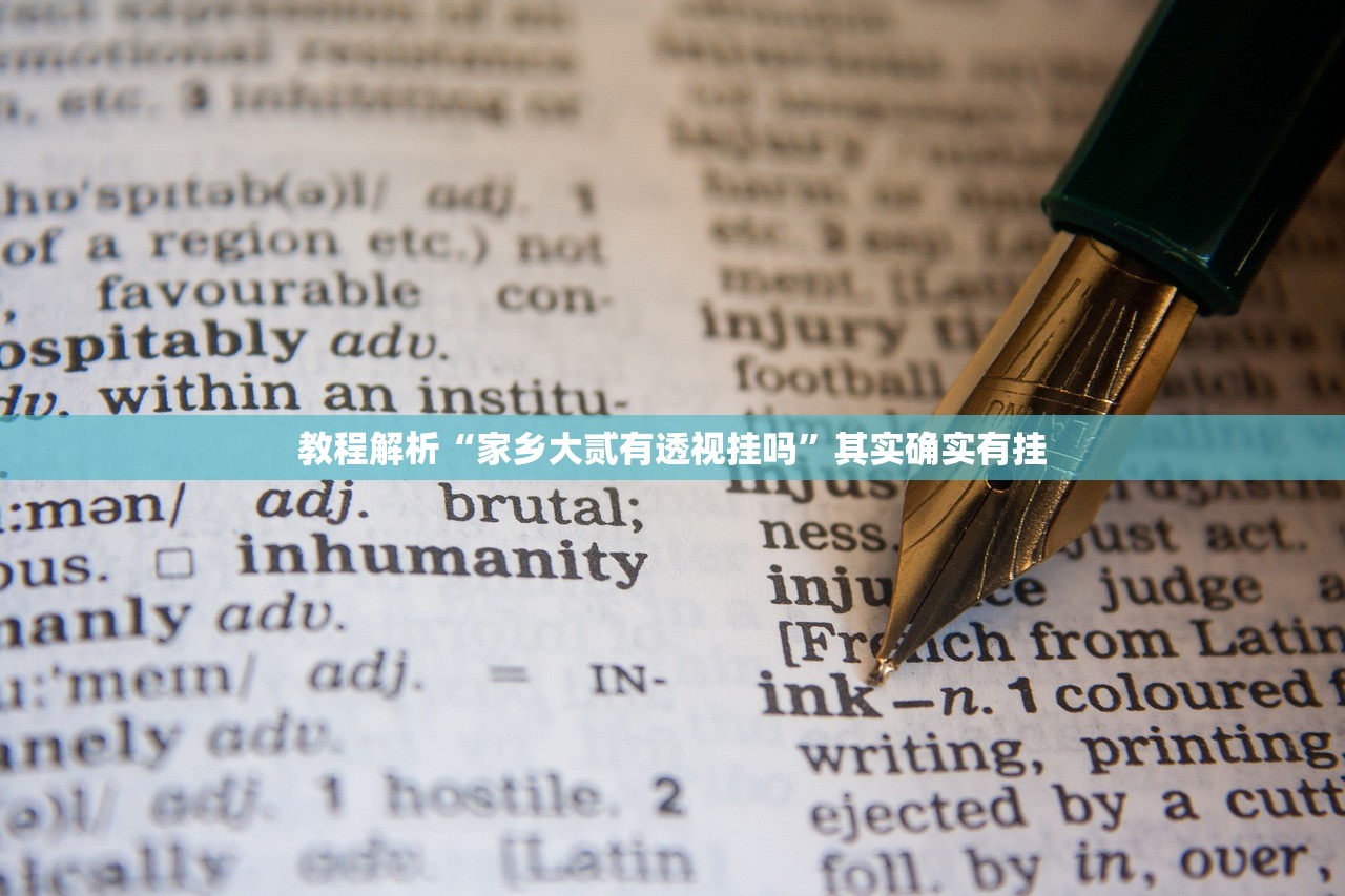 教程解析“家乡大贰有透视挂吗”其实确实有挂