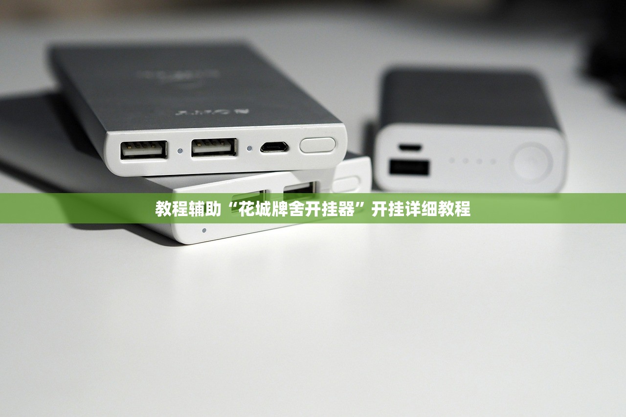 教程辅助“花城牌舍开挂器”开挂详细教程