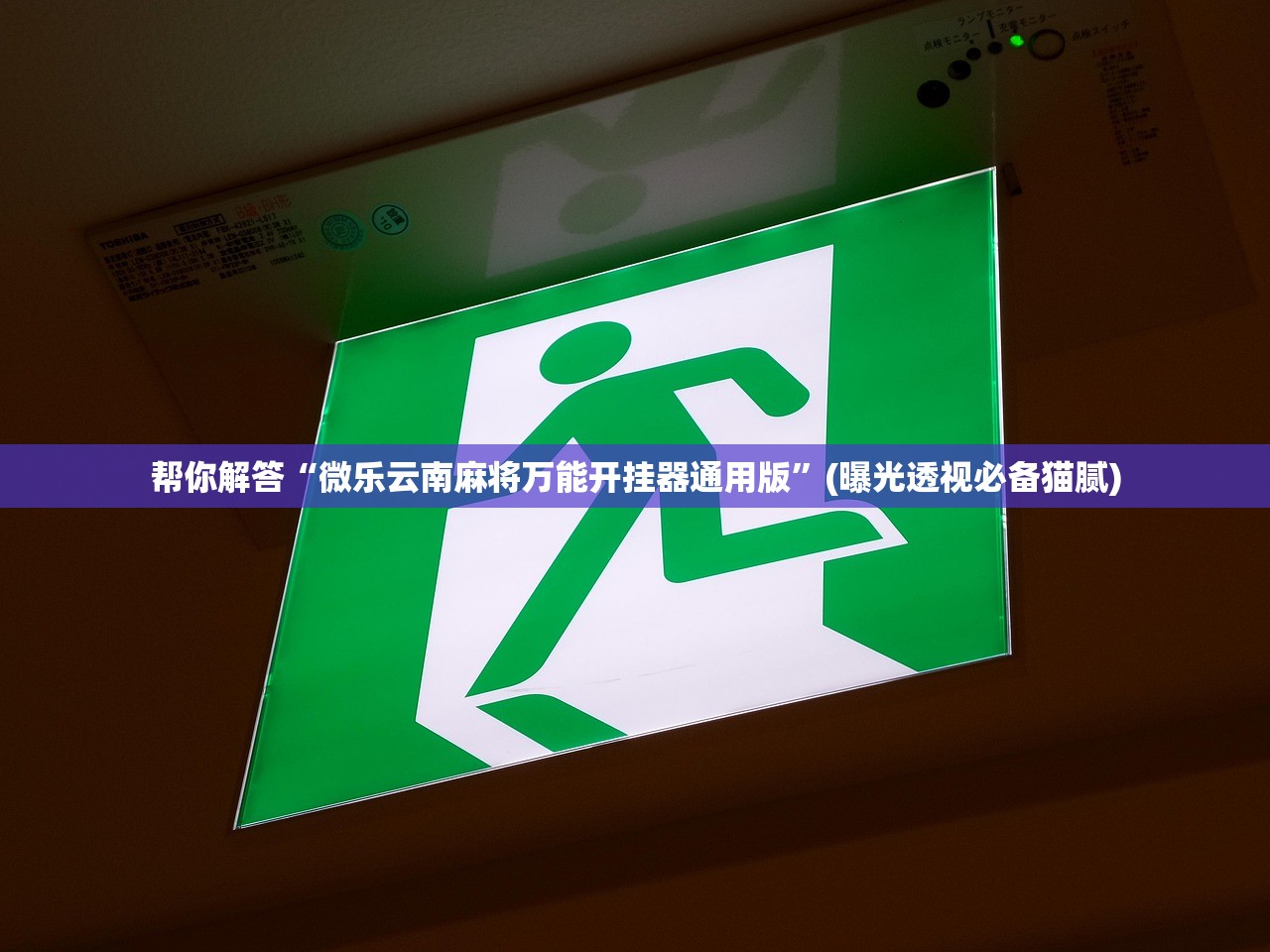实操教程“德扑之星透视辅助	”(原来确实是有插件) 