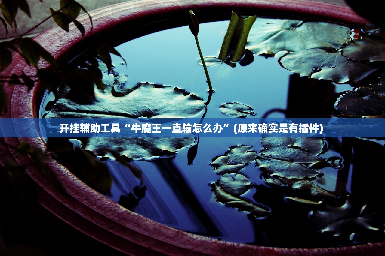 开挂辅助工具“牛魔王一直输怎么办	”(原来确实是有插件) 