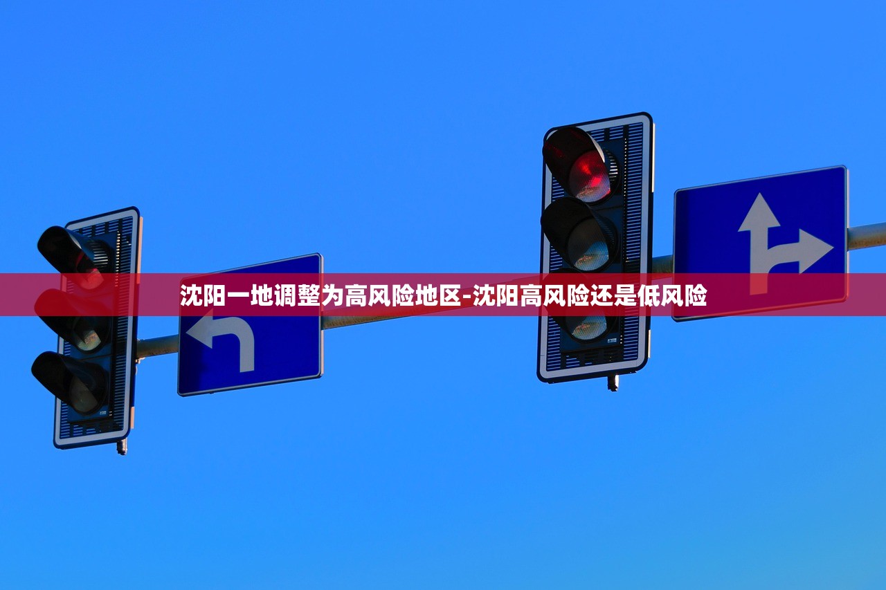 沈阳一地调整为高风险地区-沈阳高风险还是低风险