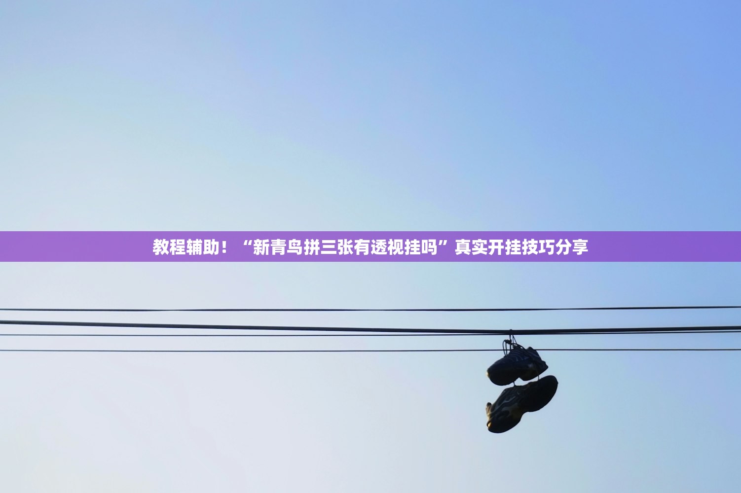 教程辅助！“新青鸟拼三张有透视挂吗”真实开挂技巧分享