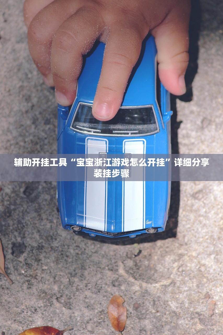 辅助开挂工具“宝宝浙江游戏怎么开挂	”详细分享装挂步骤