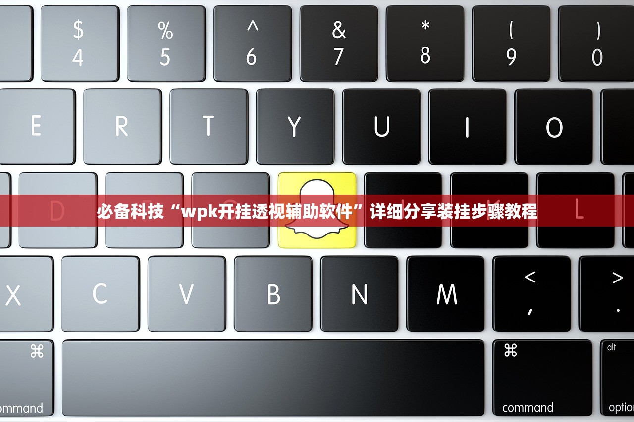 必备科技“wpk开挂透视辅助软件”详细分享装挂步骤教程
