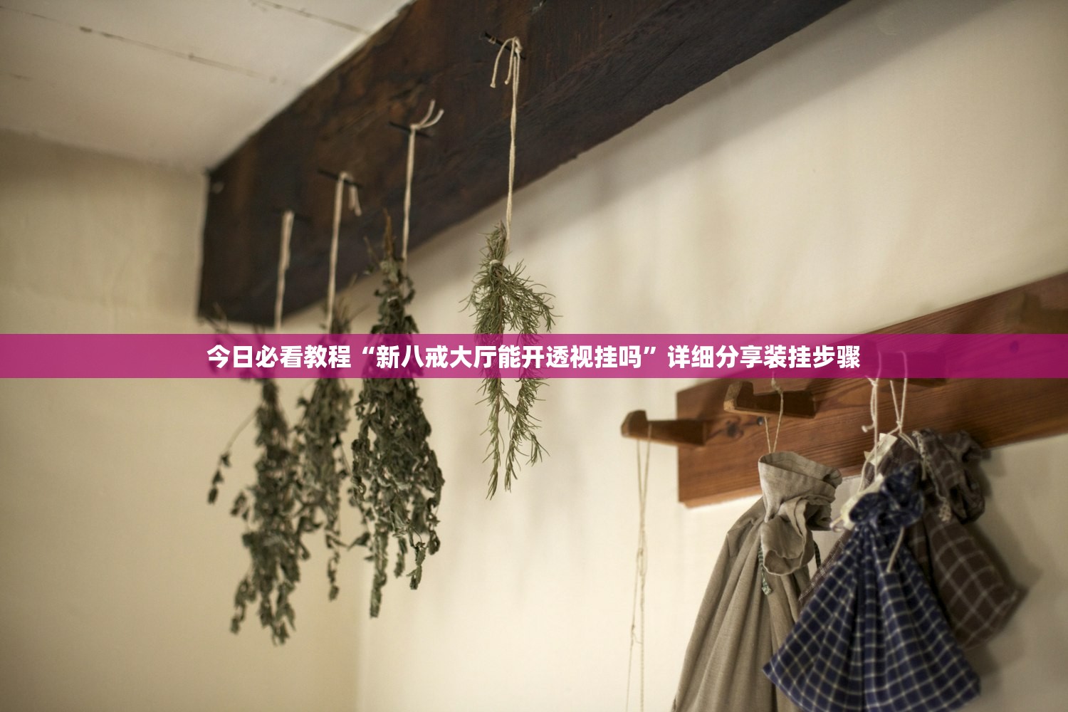 今日必看教程“新八戒大厅能开透视挂吗”详细分享装挂步骤
