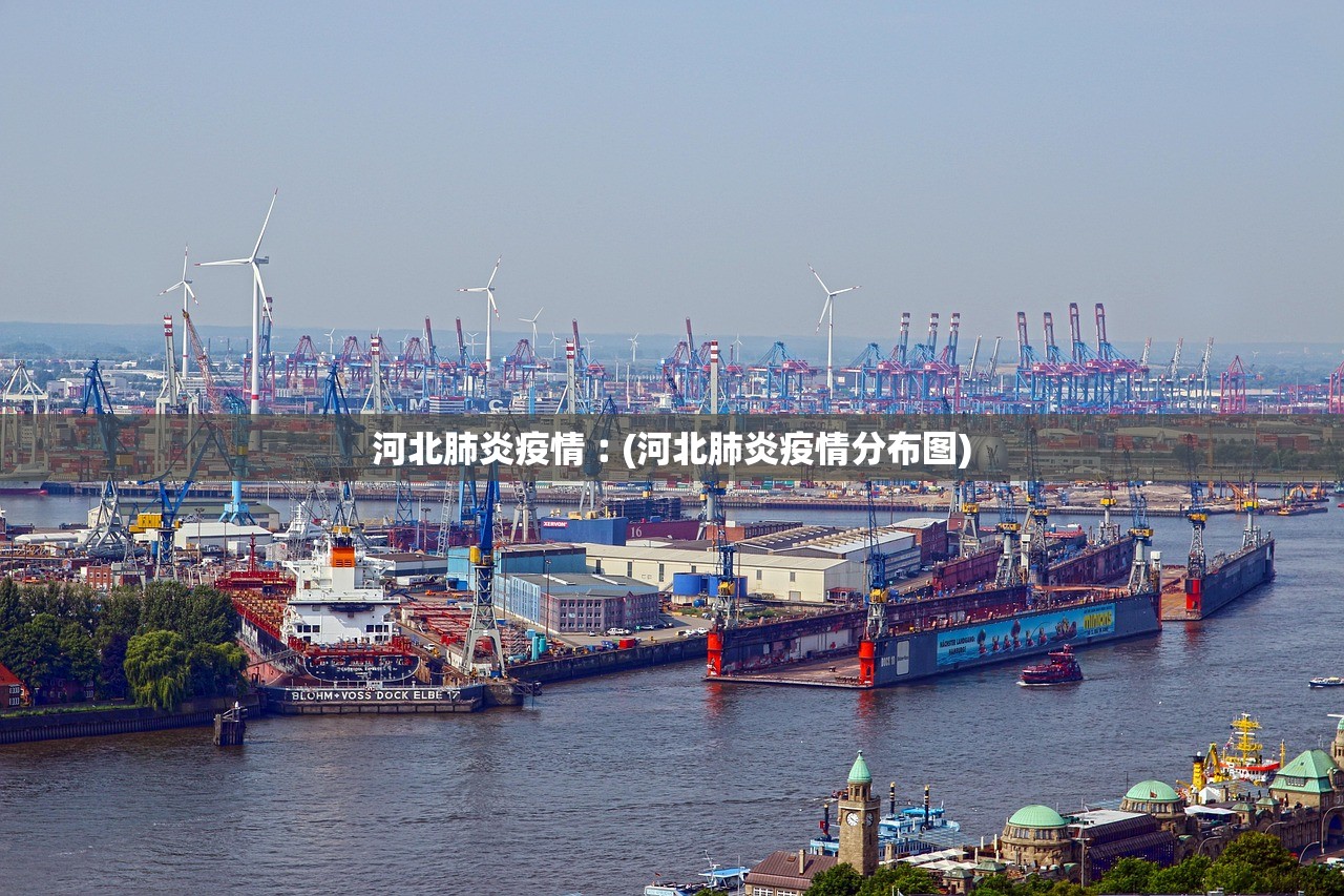 河北肺炎疫情︰(河北肺炎疫情分布图)