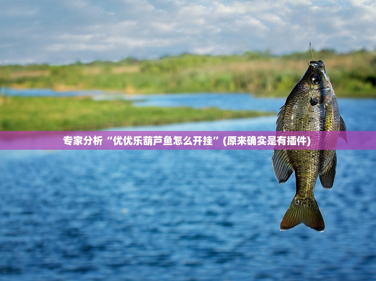 专家分析“优优乐葫芦鱼怎么开挂”(原来确实是有插件) 