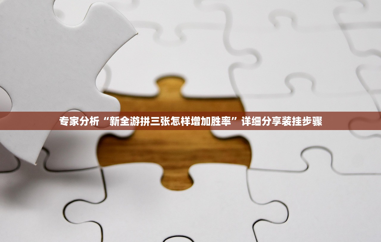 专家分析“新全游拼三张怎样增加胜率”详细分享装挂步骤