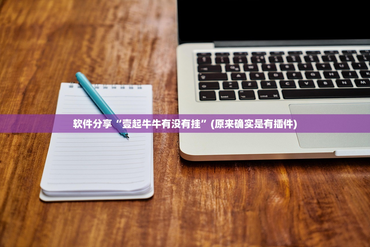 软件分享“壹起牛牛有没有挂	”(原来确实是有插件)