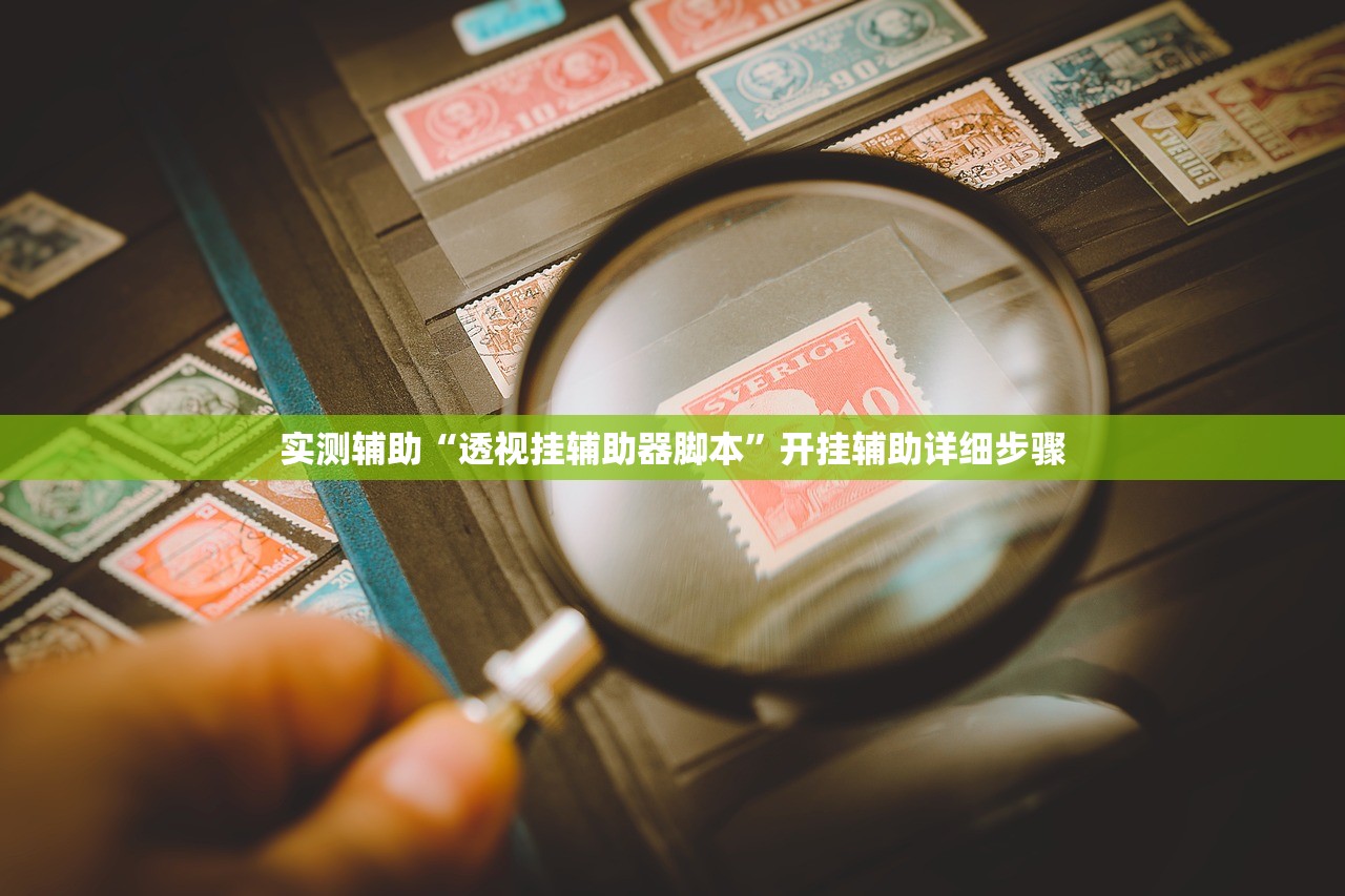 实测辅助“透视挂辅助器脚本”开挂辅助详细步骤