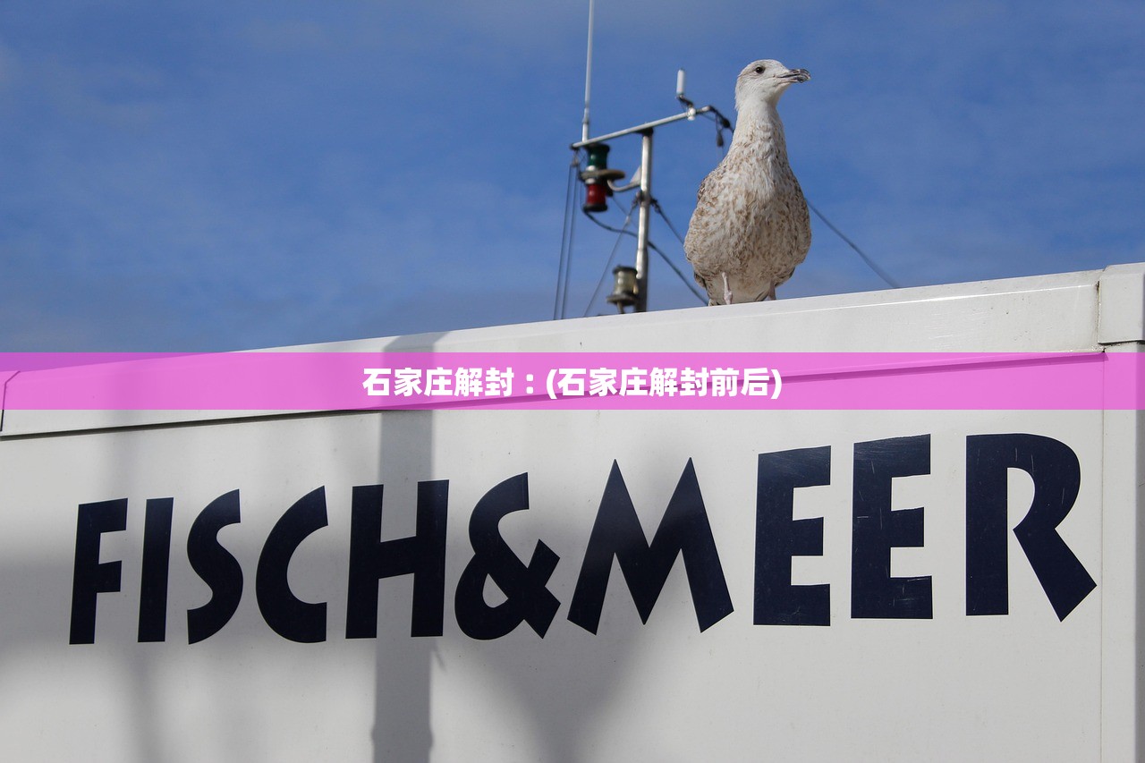 石家庄解封︰(石家庄解封前后)